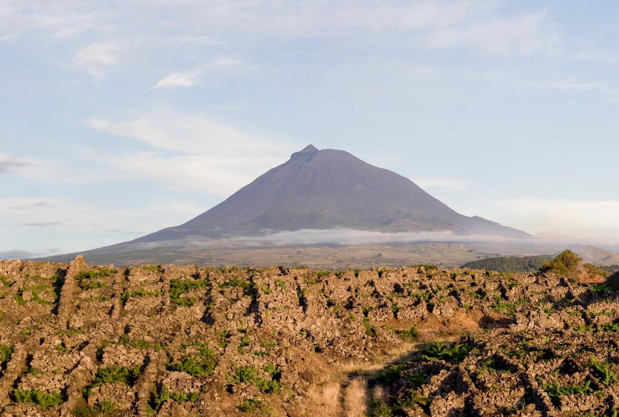 São Roque do Pico Casas Das Portas Do Mar E Das Portas Do Sol المظهر الخارجي الصورة